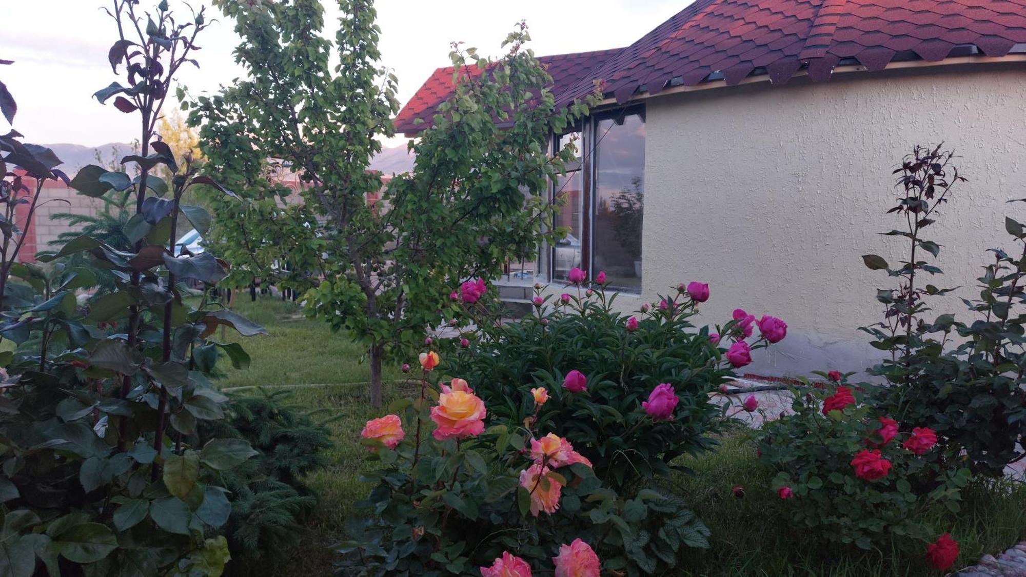 Svetlana Guest House Bokonbayevo 外观 照片