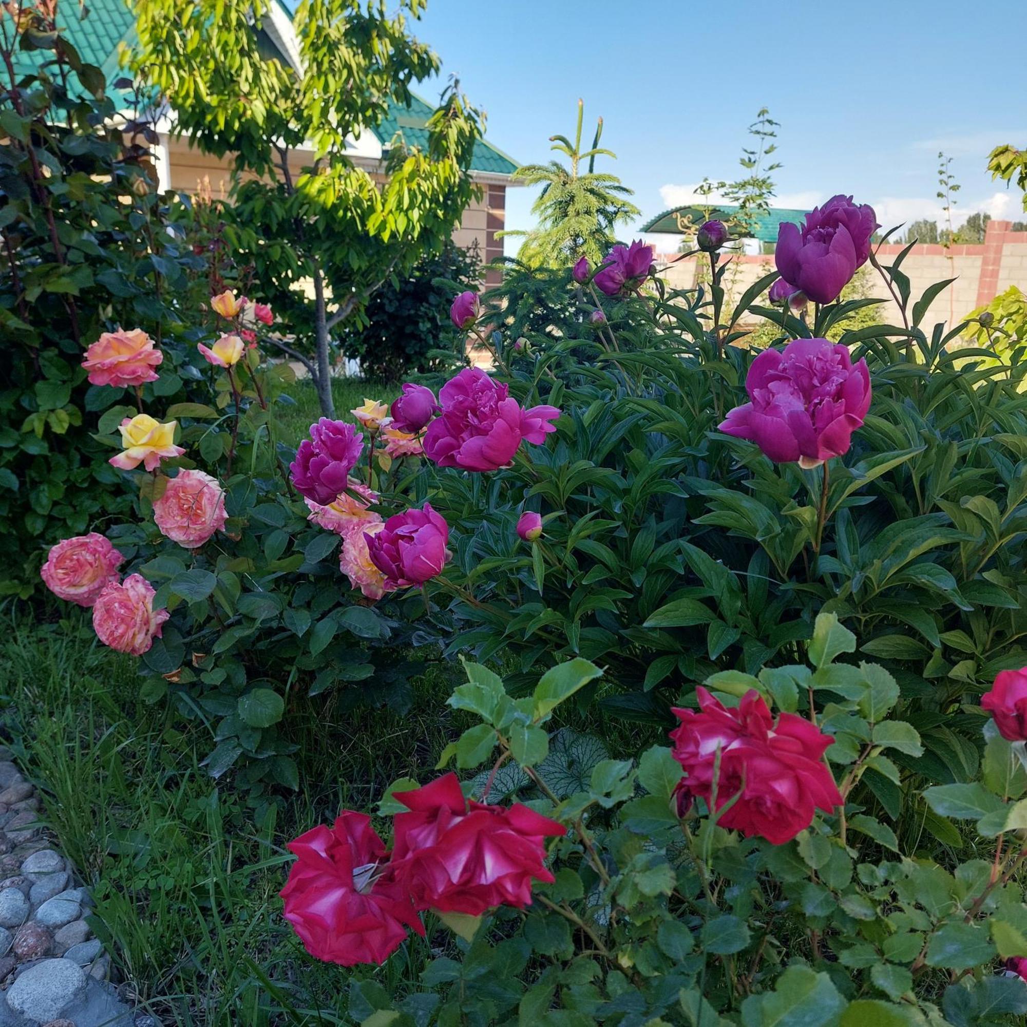 Svetlana Guest House Bokonbayevo 外观 照片