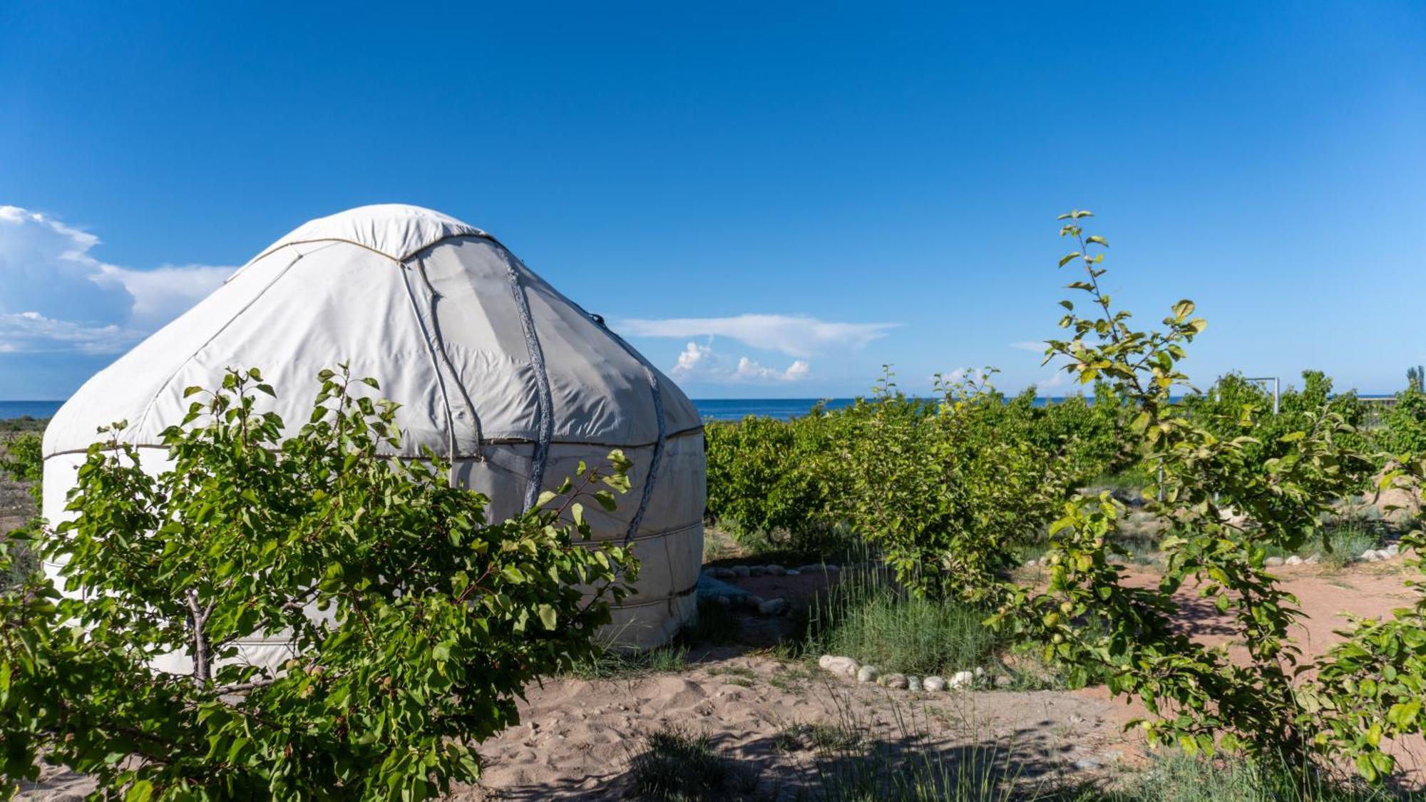 Svetlana Guest House Bokonbayevo 外观 照片
