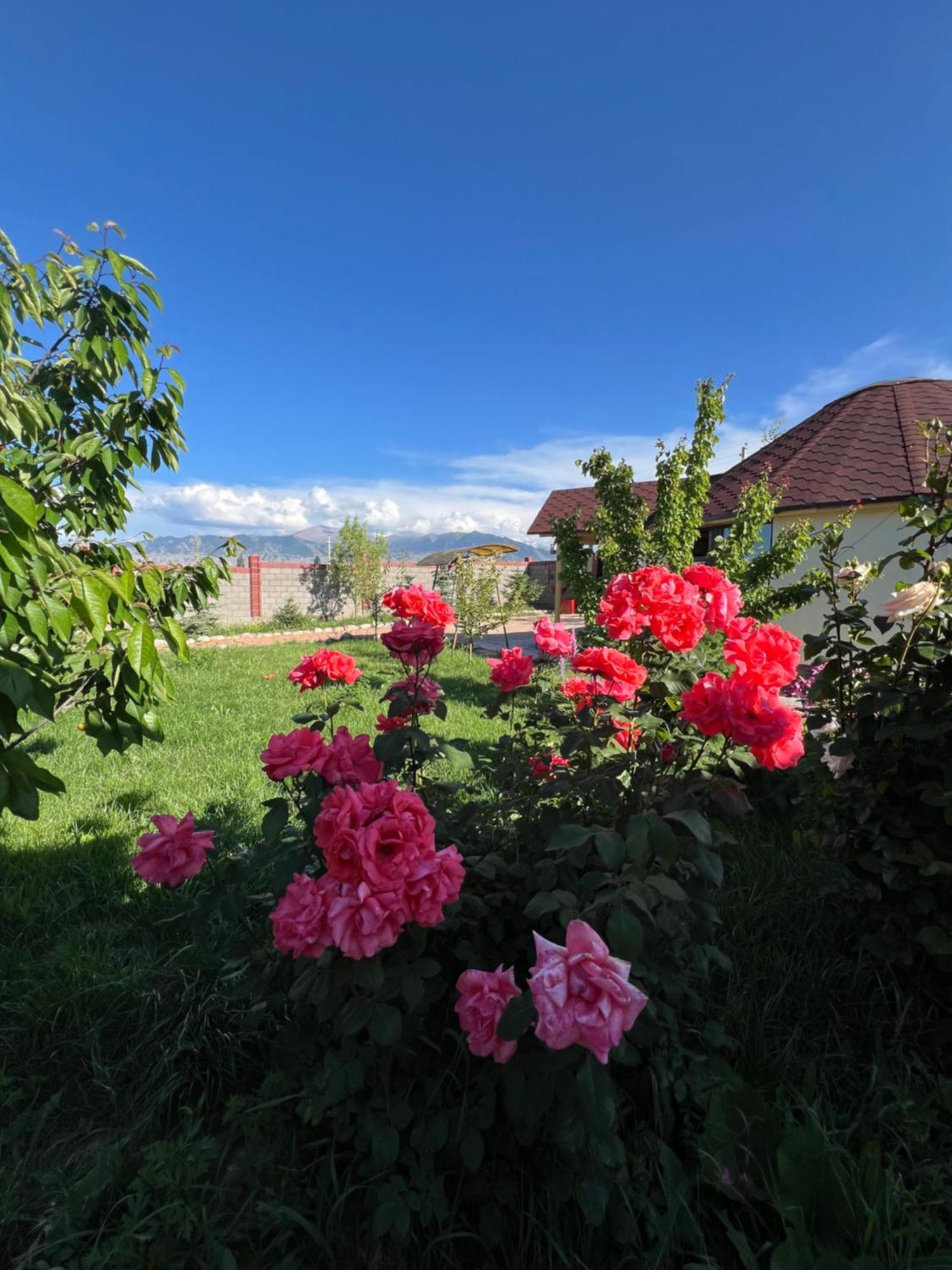 Svetlana Guest House Bokonbayevo 外观 照片